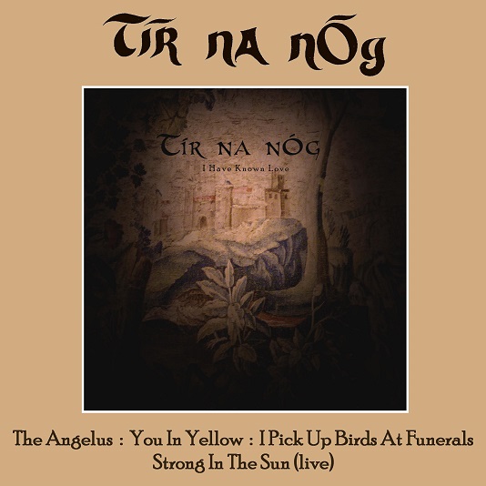 Tir na nOg